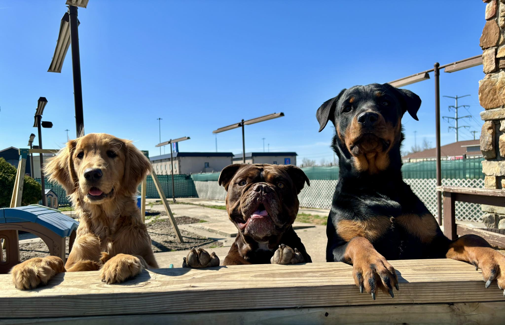Brittany Hoffman & Melissa Jarrett